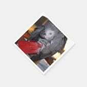 柔軟なコンゴの赤い尾を持つアフリカの灰色のオウム スタンダードカクテルナプキン (角)