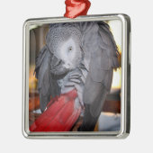 柔軟なコンゴの赤い尾を持つアフリカの灰色のオウム メタルオーナメント (左)