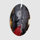 柔軟なコンゴアフリカ産灰色オウム（赤い尾を持つ） オーナメント (正面)