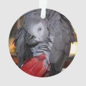 柔軟なコンゴアフリカ産灰色オウム（赤い尾を持つ） オーナメント (裏面)