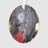 柔軟なコンゴアフリカ産灰色オウム（赤い尾を持つ） オーナメント (正面)