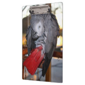 柔軟なコンゴアフリカ産灰色オウム（赤い尾を持つ） クリップボード (左)