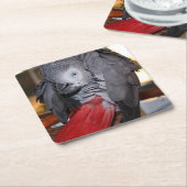 柔軟なコンゴアフリカ産灰色オウム（赤い尾を持つ） スクエアペーパーコースター (アングル)