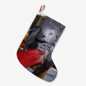 柔軟なコンゴアフリカ産灰色オウム(赤い尾を持つ) スモールクリスマスストッキング (正面 (吊り時))
