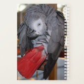 柔軟なコンゴアフリカ産灰色オウム（赤い尾を持つ） プランナー手帳 (裏面)