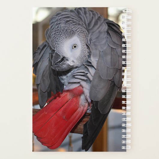 柔軟なコンゴアフリカ産灰色オウム（赤い尾を持つ） プランナー手帳 (裏面)