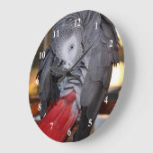 柔軟なコンゴアフリカ産灰色オウム(赤い尾を持つ) ラージ壁時計 (傾斜)
