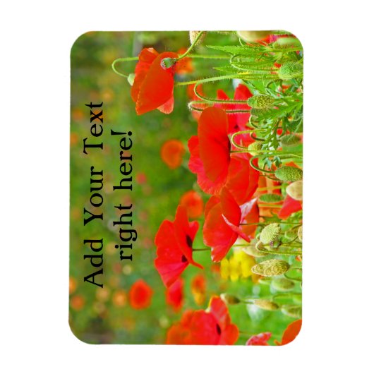 柔軟なマグネットあなたのテキストを追加する赤いポピーの花 マグネット (縦)