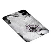 柔軟なマグネット – 白いクレマチスフラワー マグネット (右側)