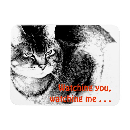 柔軟な冷蔵庫用マグネット- Watchful Cat マグネット (横)