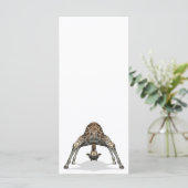 柔軟キリン (スタンド正面)