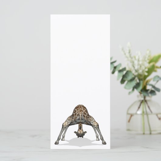 柔軟キリン (スタンド正面)