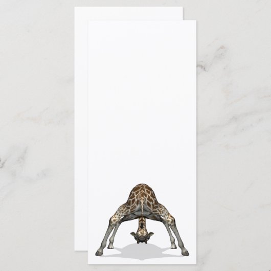 柔軟キリン (正面/裏面)