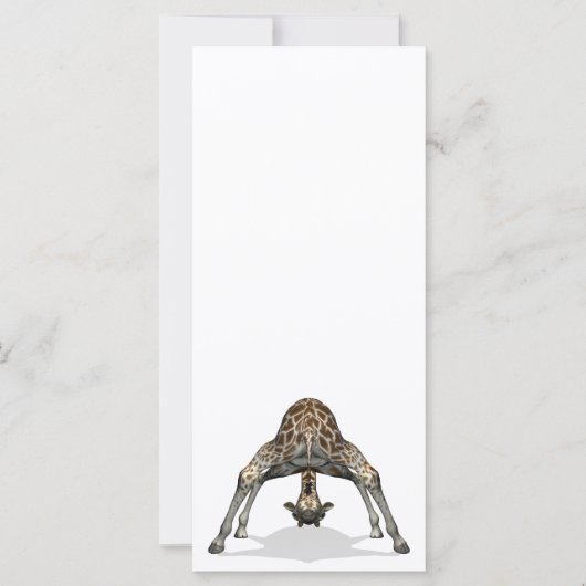 柔軟キリン (正面)