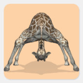 柔軟キリン スクエアシール (正面)