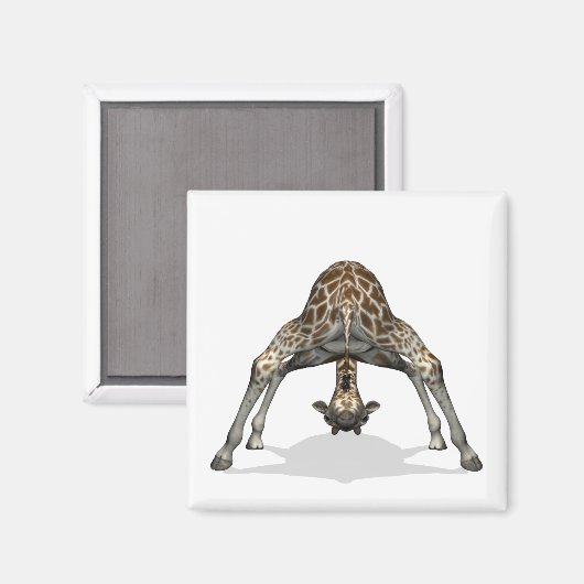 柔軟キリン マグネット (正面/裏面)