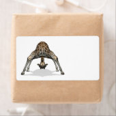 柔軟キリン ラベル (インサイチュ)