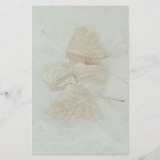 柔離れ軟ベージュ温背景抽象芸術 便箋 (正面)