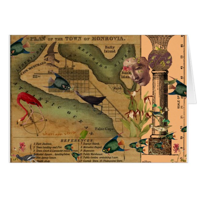 柱のスケール (正面横)