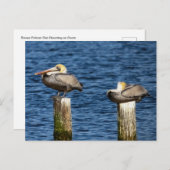 柱の上の茶色のペリカンペア ポストカード (正面/裏面)