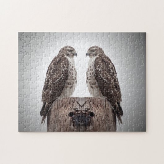 柱の上の鷹 ジグソーパズル (横)