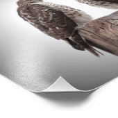 柱の上の鷹 フォトプリント            (角)