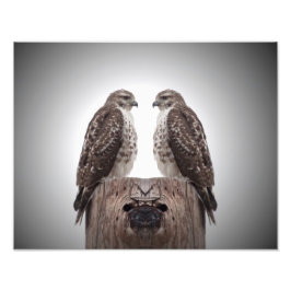 柱の上の鷹 フォトプリント           