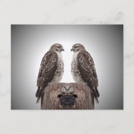 柱の上の鷹 ポストカード