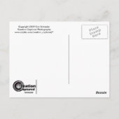 柱の蔓 ポストカード (裏面)