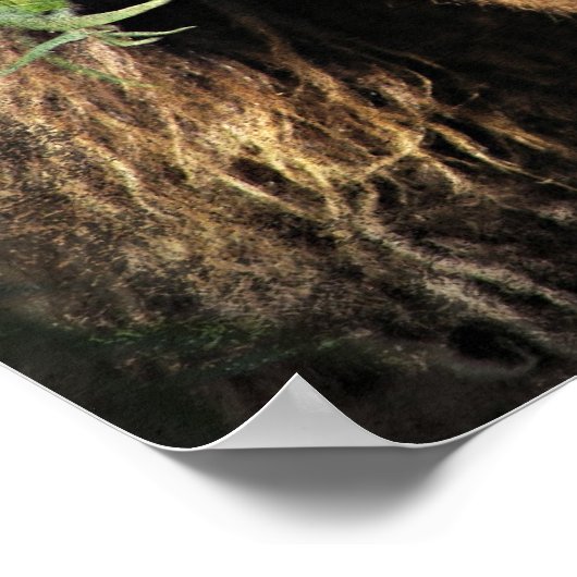 柳の木の下に小さく小さいさま ポスター (角)