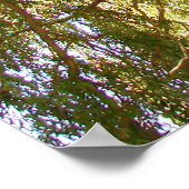 柳の木 ポスター (角)