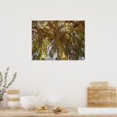 柳の木 ポスター (キッチン)