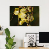 柳の芽のポスター ポスター (ホームオフィス)