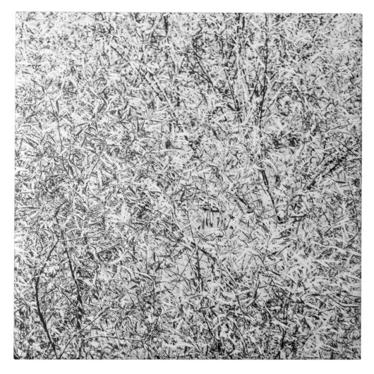 柳の葉木。抽象芸術自然 タイル (正面)