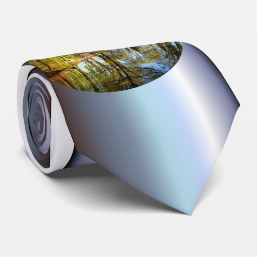 柳池水反射 ネクタイ (ロール)