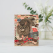 「柳猫座り」写真はがき ポストカード (スタンド正面)