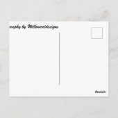 「柳猫座り」写真はがき ポストカード (裏面)