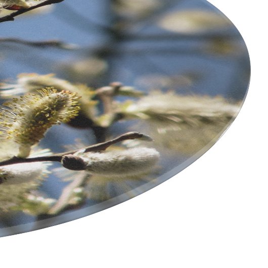 柳 カッティングボード (角)