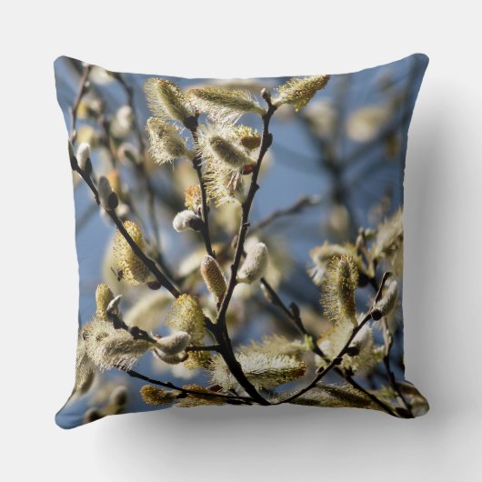 柳 クッション (裏面)