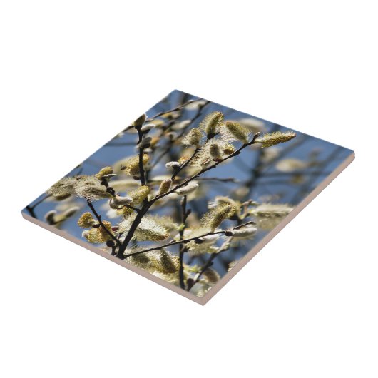 柳 タイル (側面)