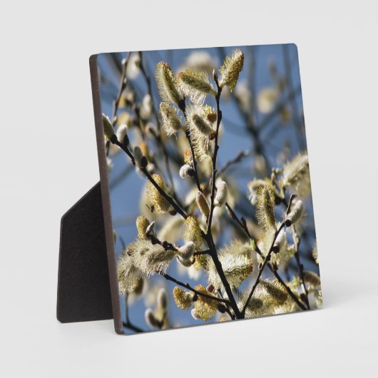 柳 フォトプラーク (正面)