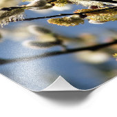 柳 フォトプリント            (角)