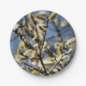 柳 ペーパープレート (正面)