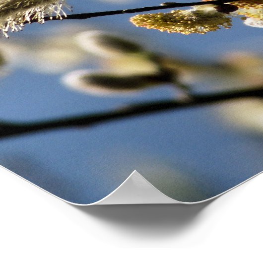 柳 ポスター (角)