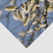 柳 薄葉紙 (詳細)