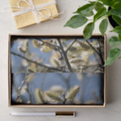 柳 薄葉紙 (ギフト)