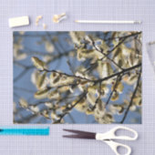 柳 薄葉紙 (クラフト)