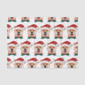 柴犬のクリスマススター 薄葉紙 (正面)