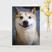 柴犬のスマイルの挨拶状 カード (黄色い花)