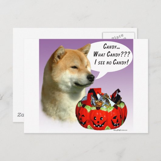 柴犬のハロウィンお菓子 ポストカード (正面/裏面)